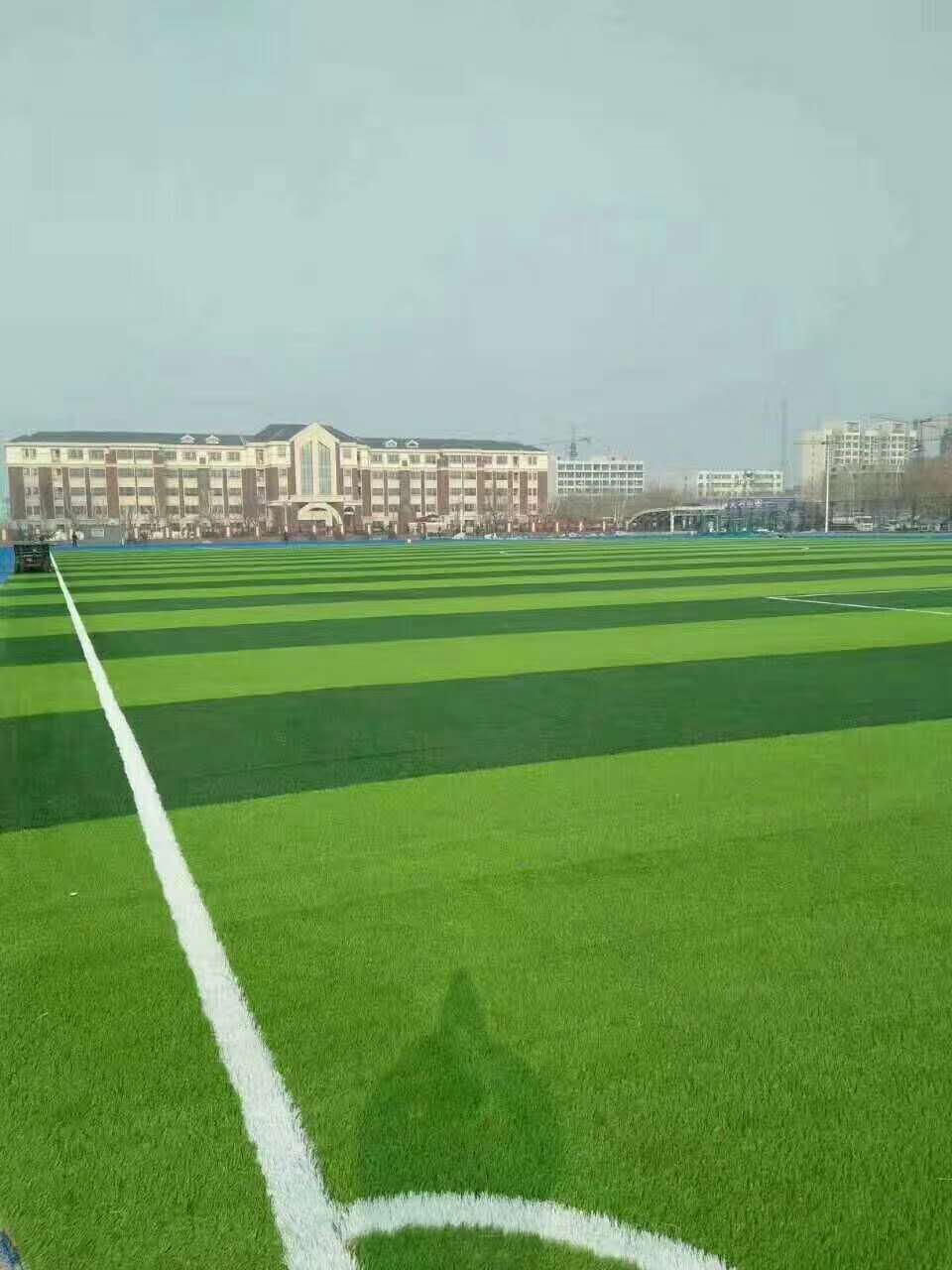 淄博市硅pu球场材料仿真草坪 - 一站式服务